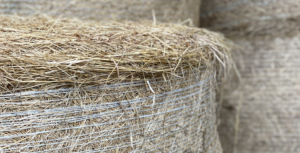 Cover photo for 2025 Haywood County Hay Directory